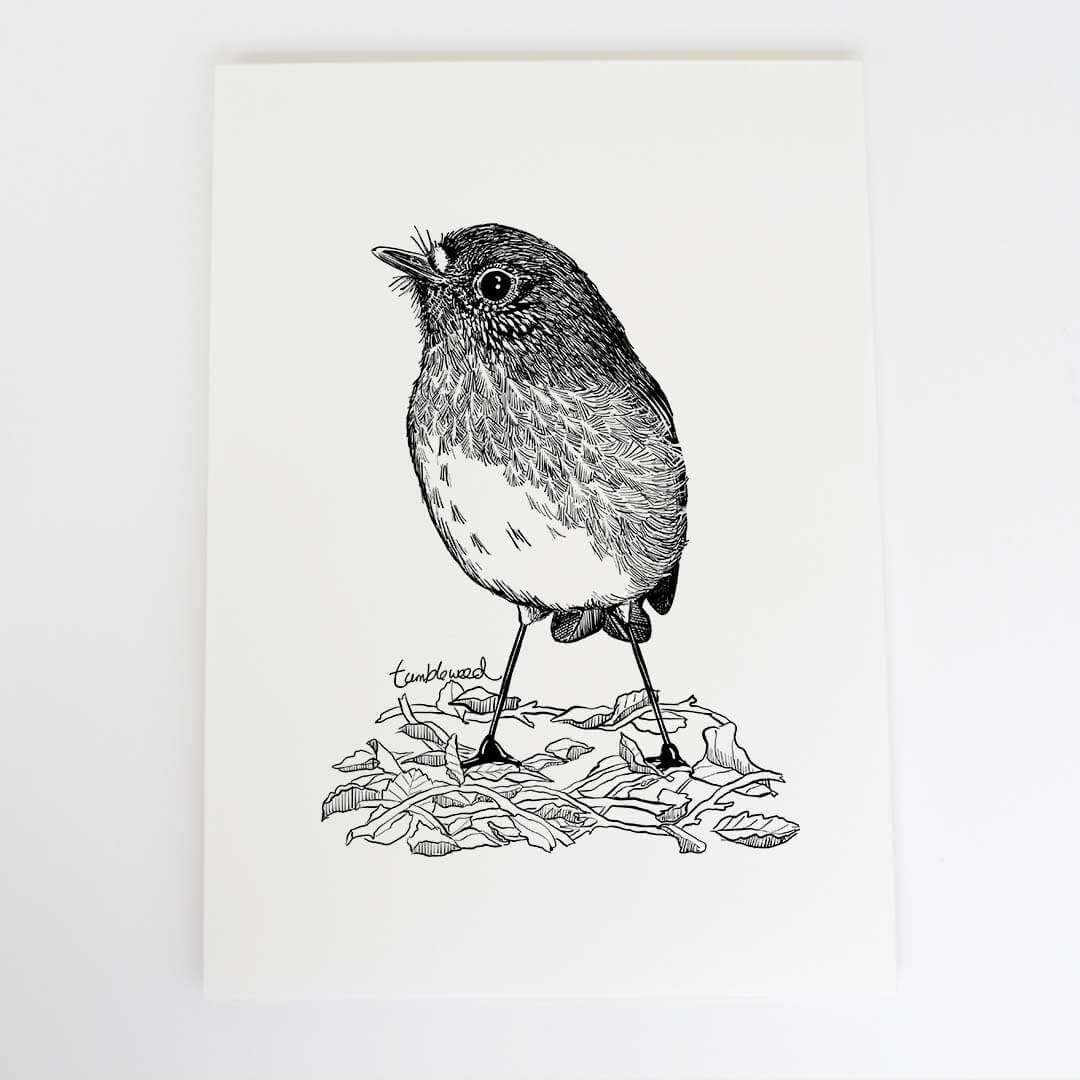 A4 art print of featuring North Island Robin/toutouwai design on white archival paper.