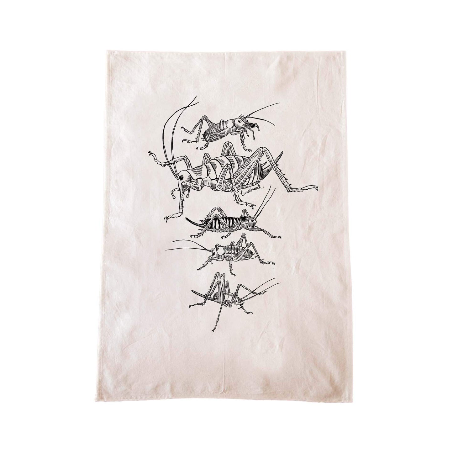 Off-white cotton tea towel with a screen printed weta design.