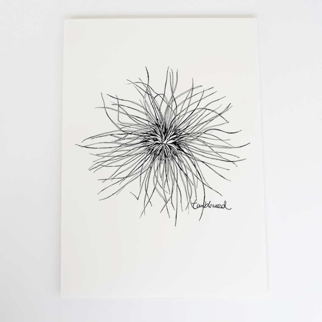 Tumbleweed Art Print