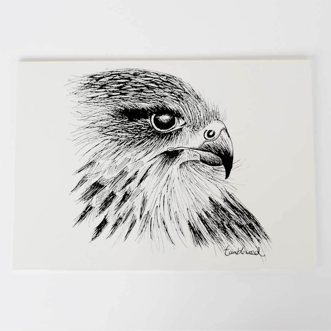A4 art print of featuring Kārearea/NZ design on white archival paper.