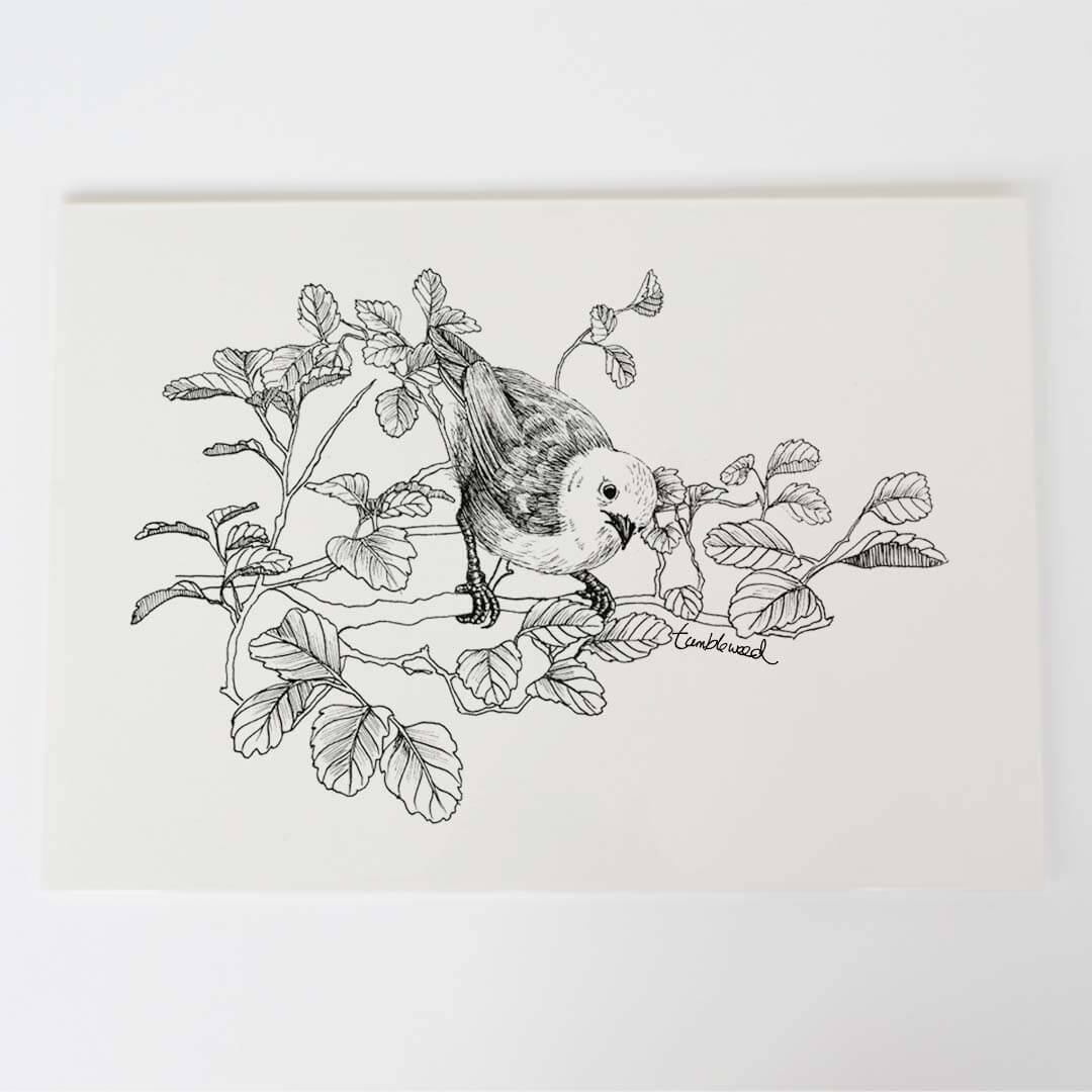 A4 art print of featuring Mōhua/Yellowhead design on white archival paper.