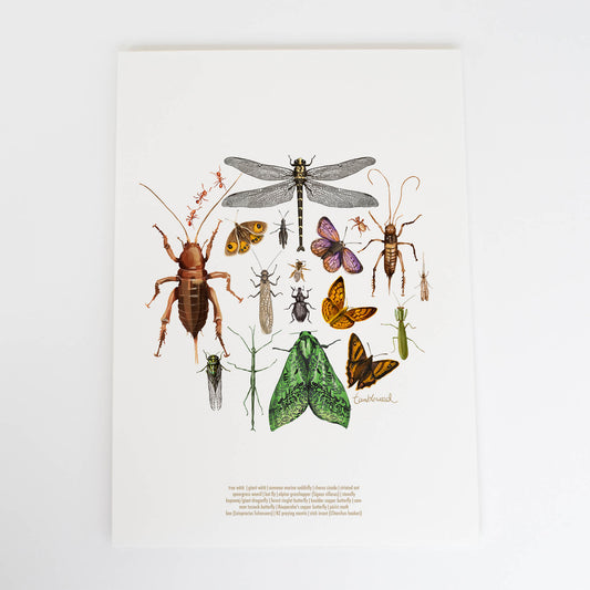 Insects Colour Art Print