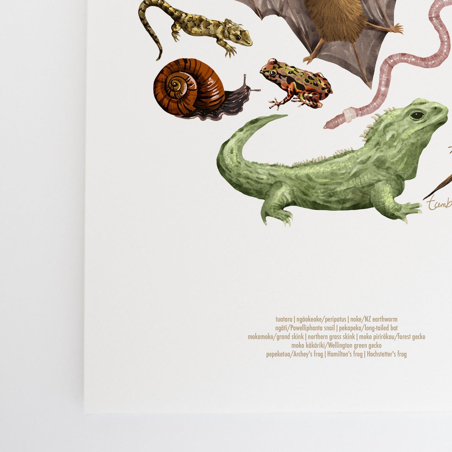 Fauna Colour Art Print