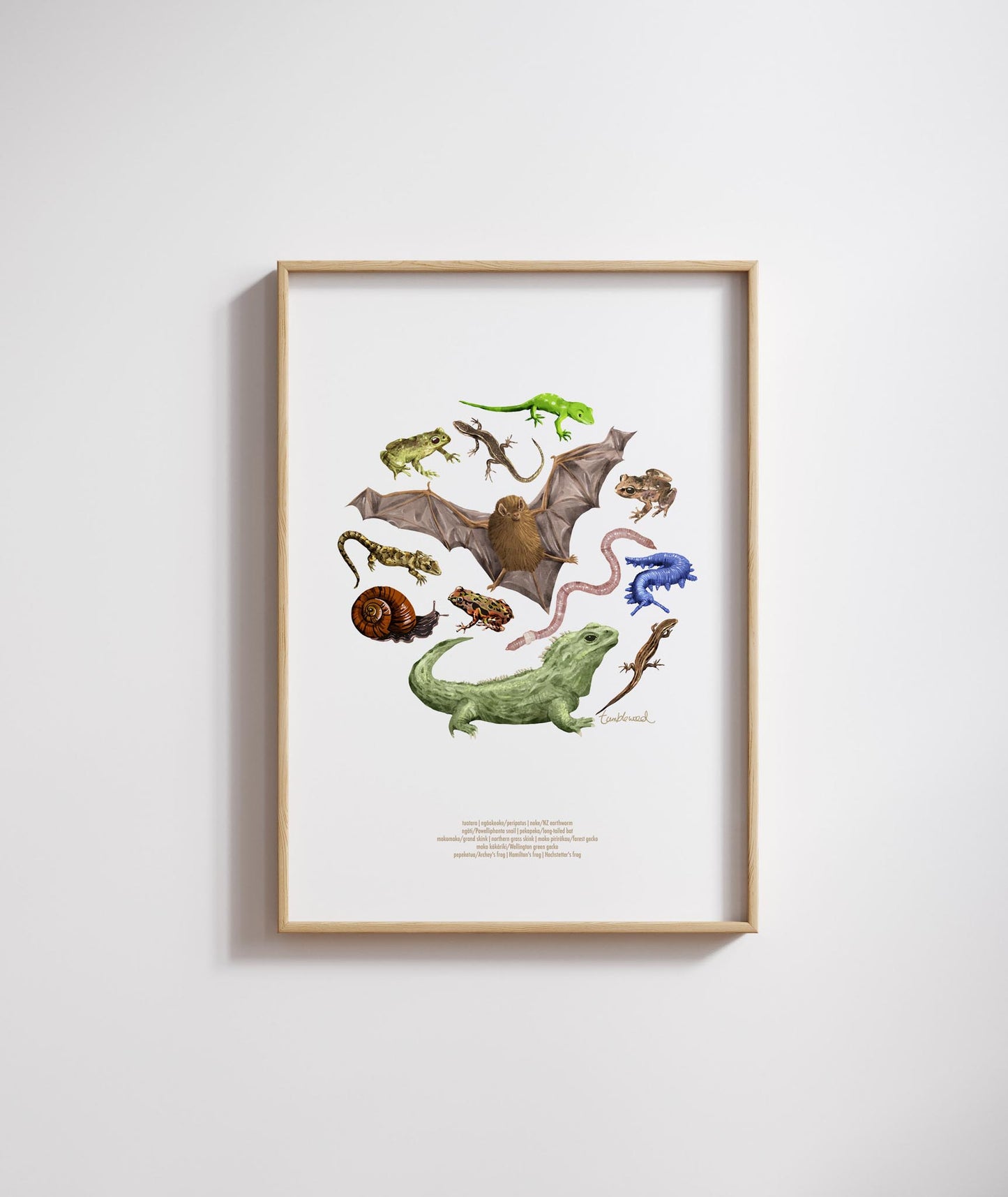 Fauna Colour Art Print