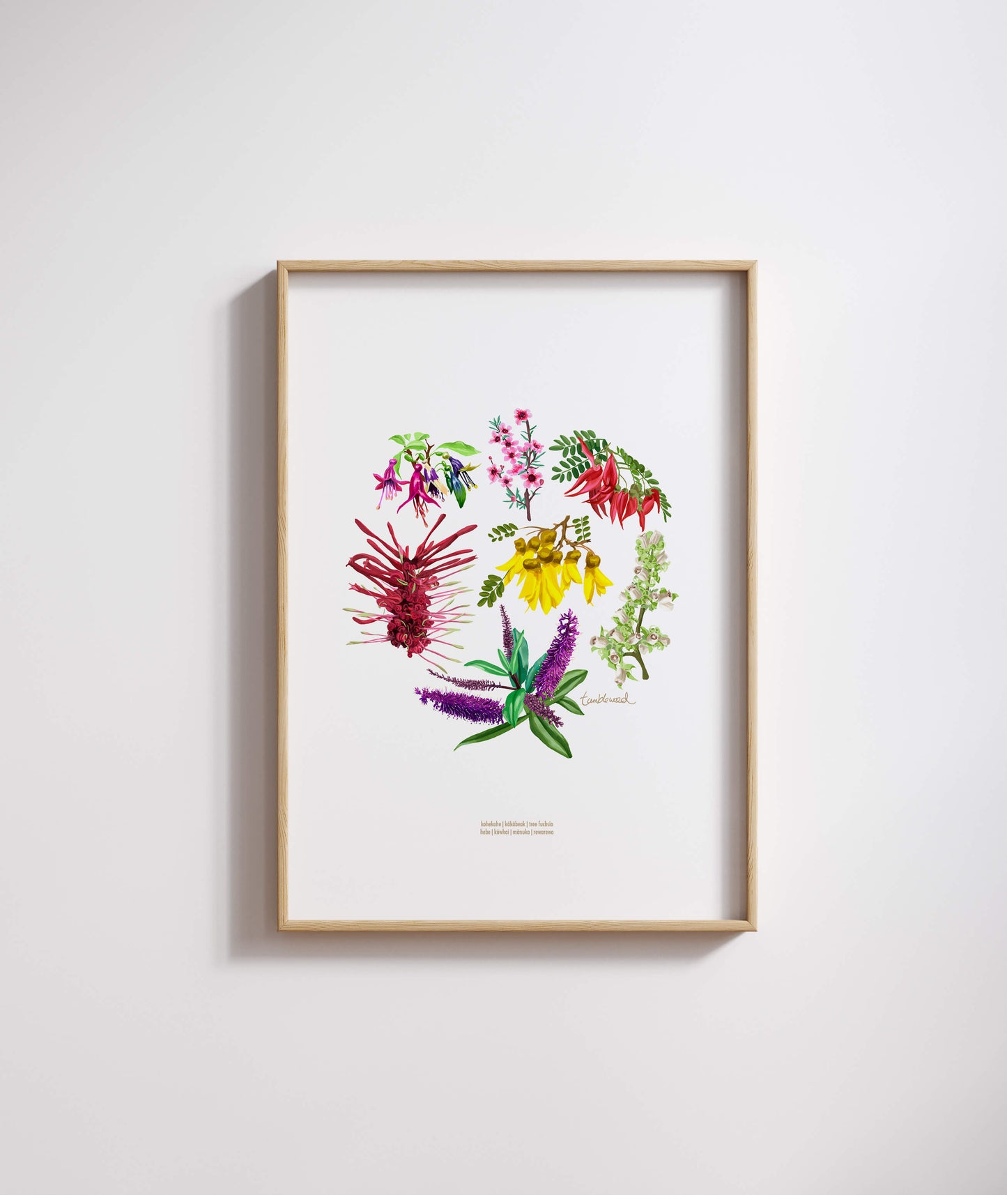 Floral Colour Art Print