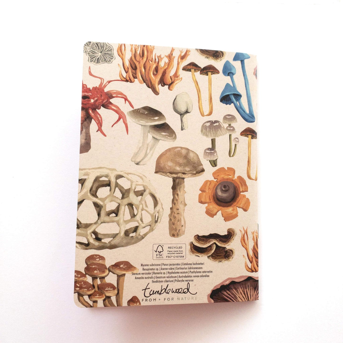 Painted Fungi Notebook