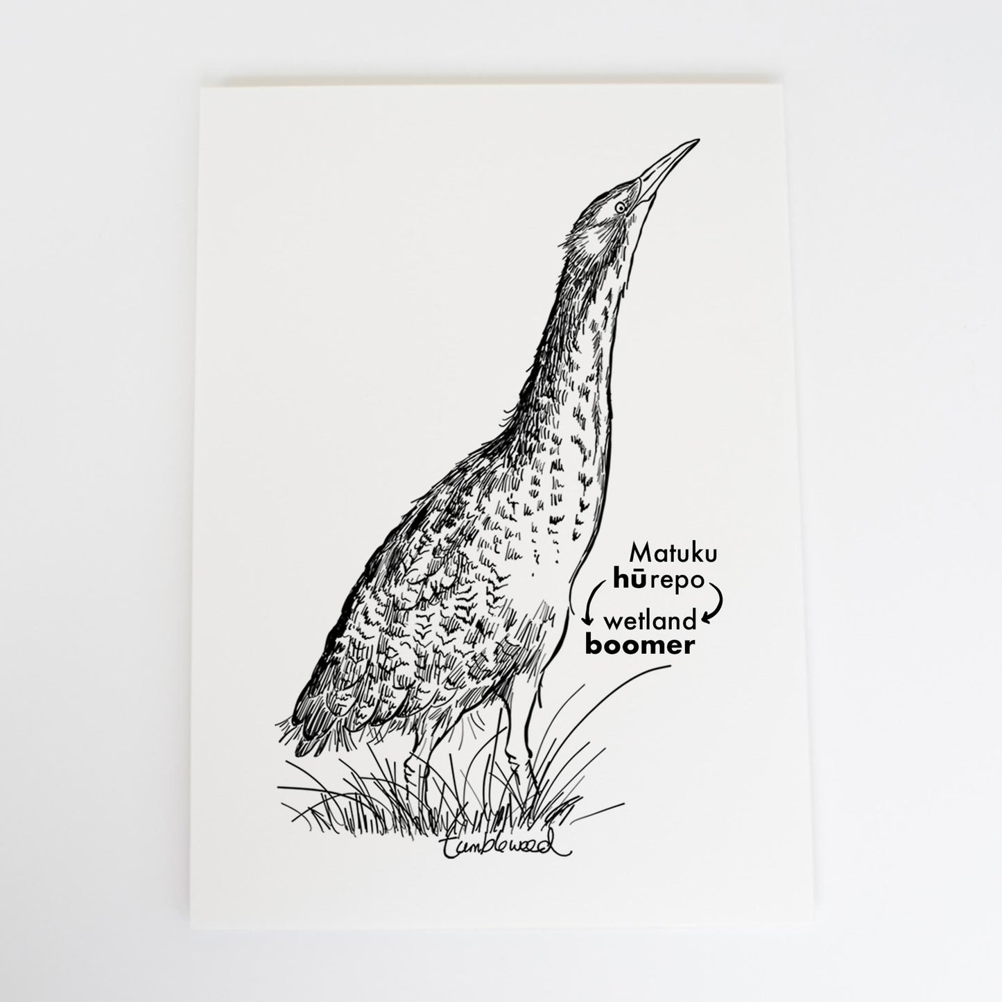 Matuku-hūrepo/bittern Art Print