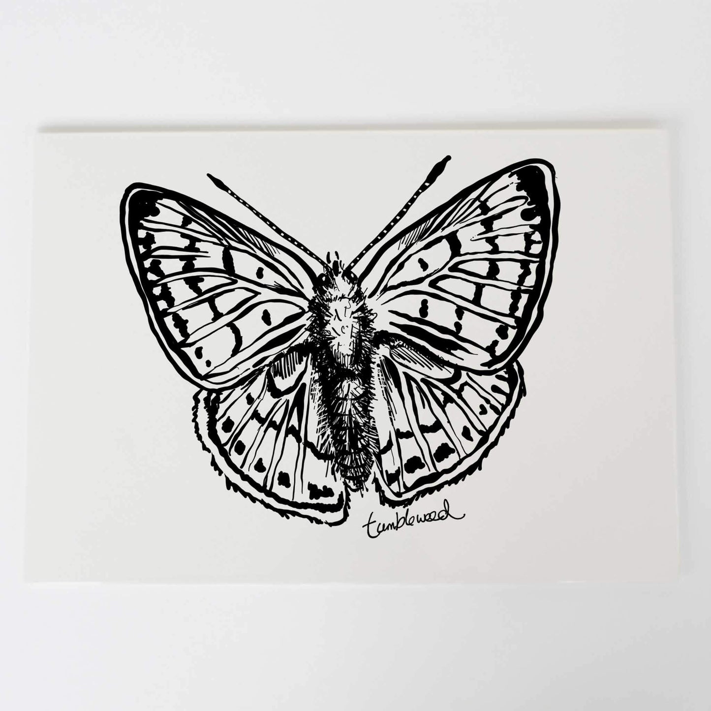 Pepe para riki/Copper butterfly Art Print