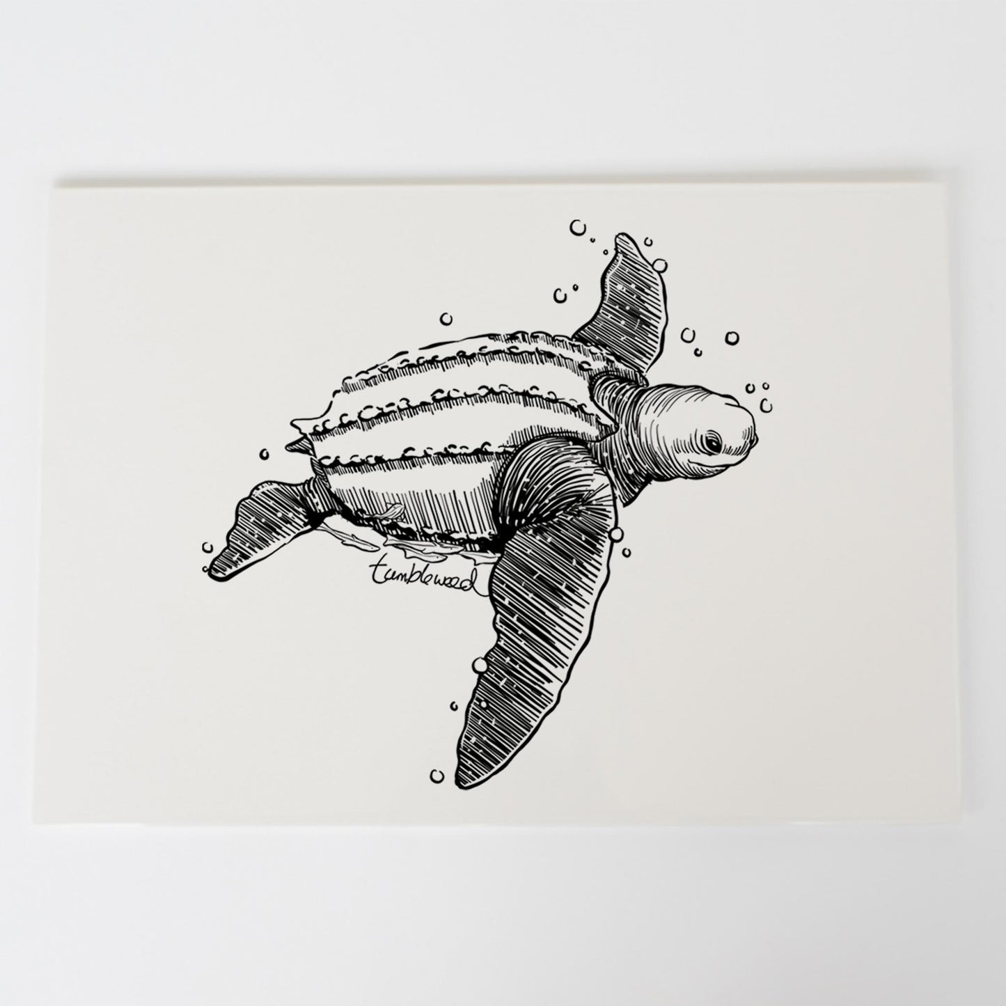 Honu/leatherback sea turtle Art Print