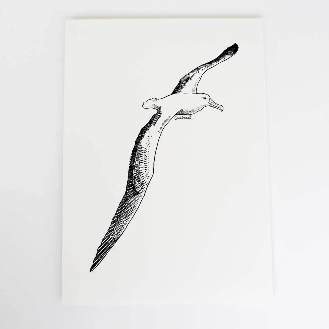 A4 art print of featuring Albatross design on white archival paper.