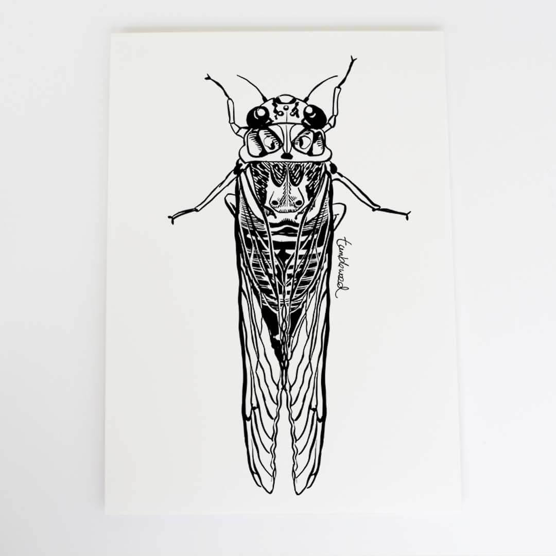 A4 art print of featuring Cicada/kihikihi-wawā design on white archival paper.