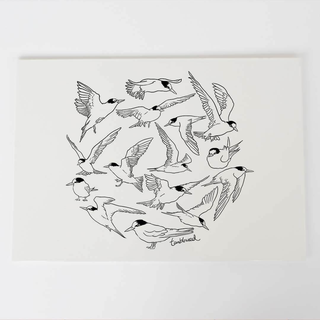 A4 art print of featuring Fairy Tern/Tara-iti design on white archival paper.