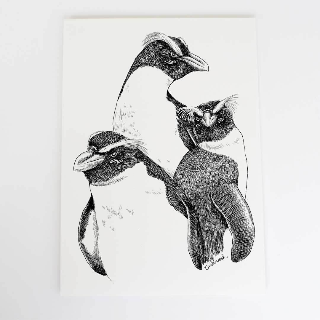 A4 art print of featuring Fiordland crested penguin/tawaki design on white archival paper.