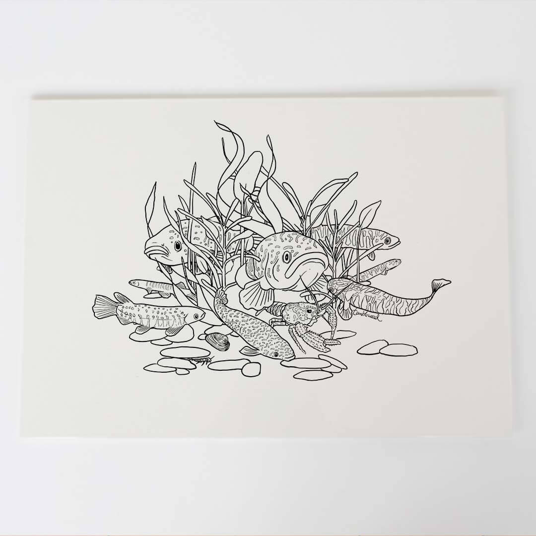 A4 art print of featuring Freshwater Fish design on white archival paper.