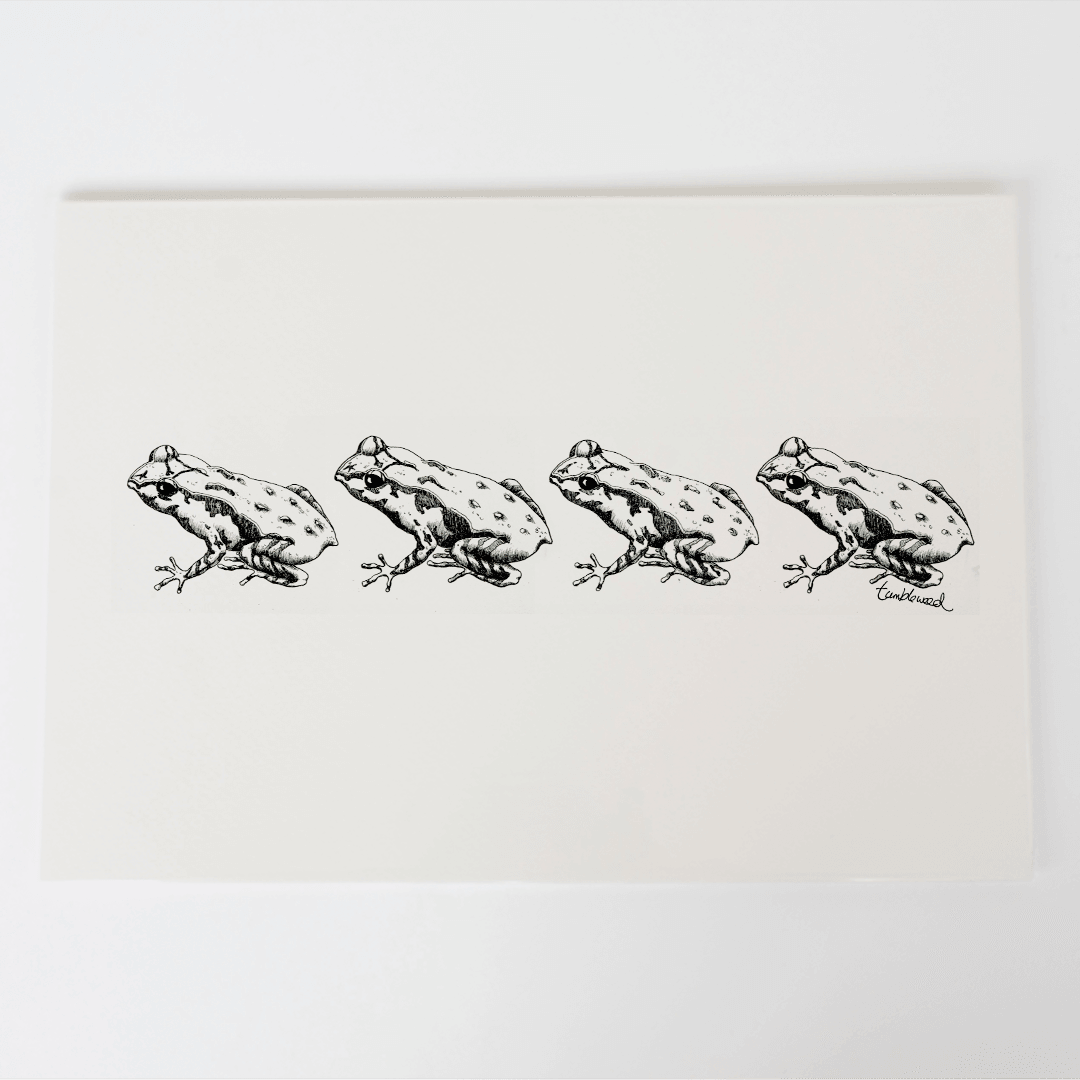 Archey's Frog Art Print