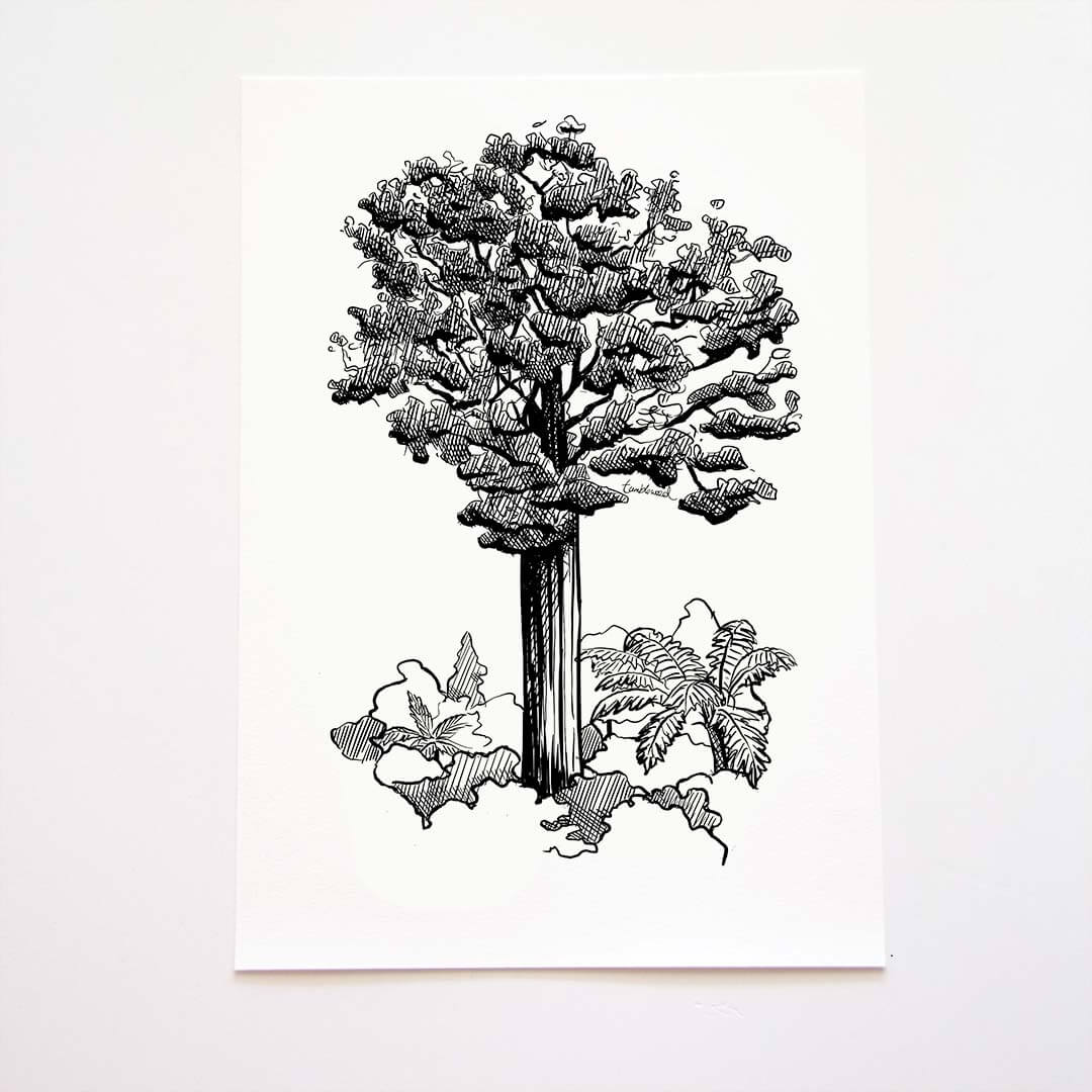A4 art print of featuring Kauri design on white archival paper.
