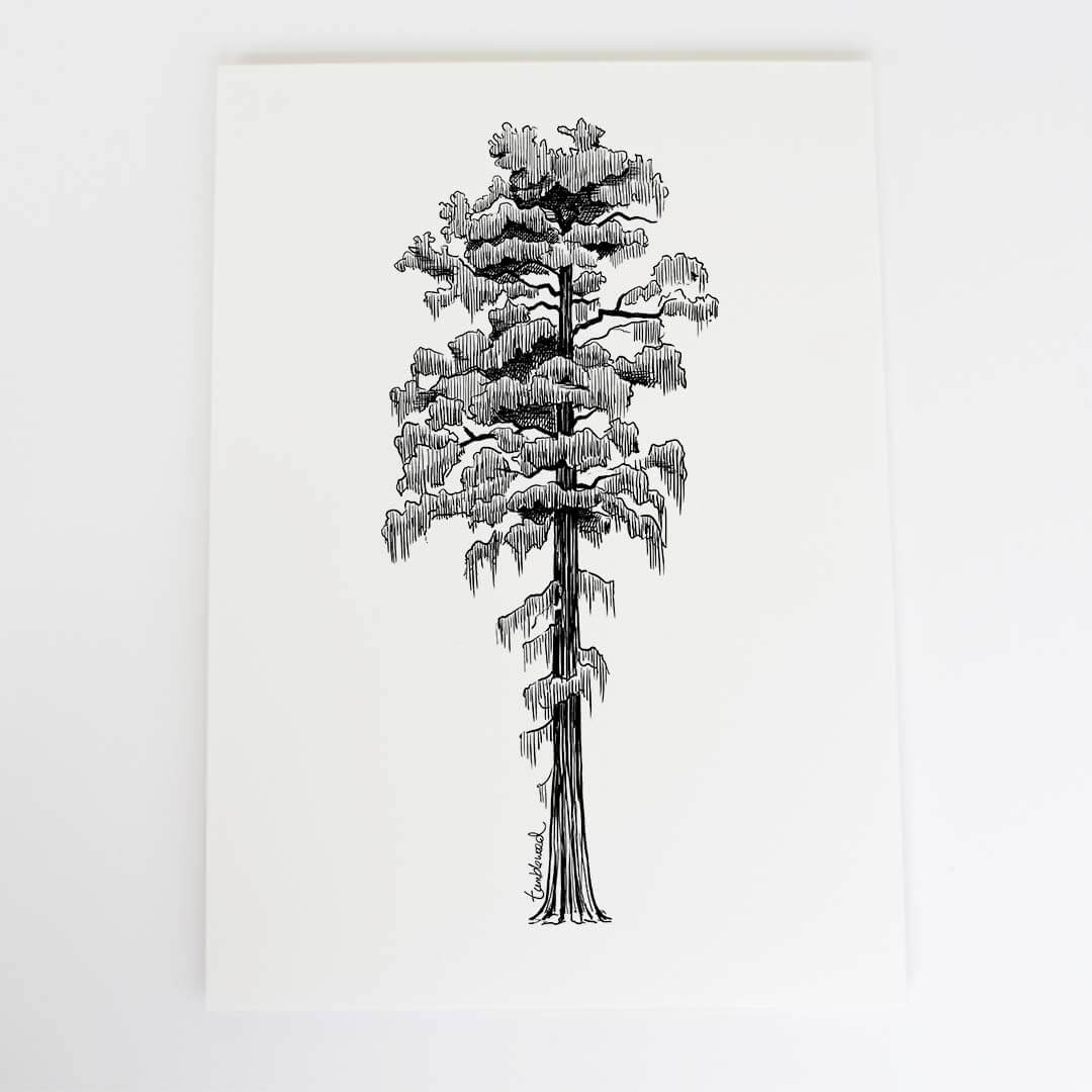 A4 art print of featuring Rimu design on white archival paper.