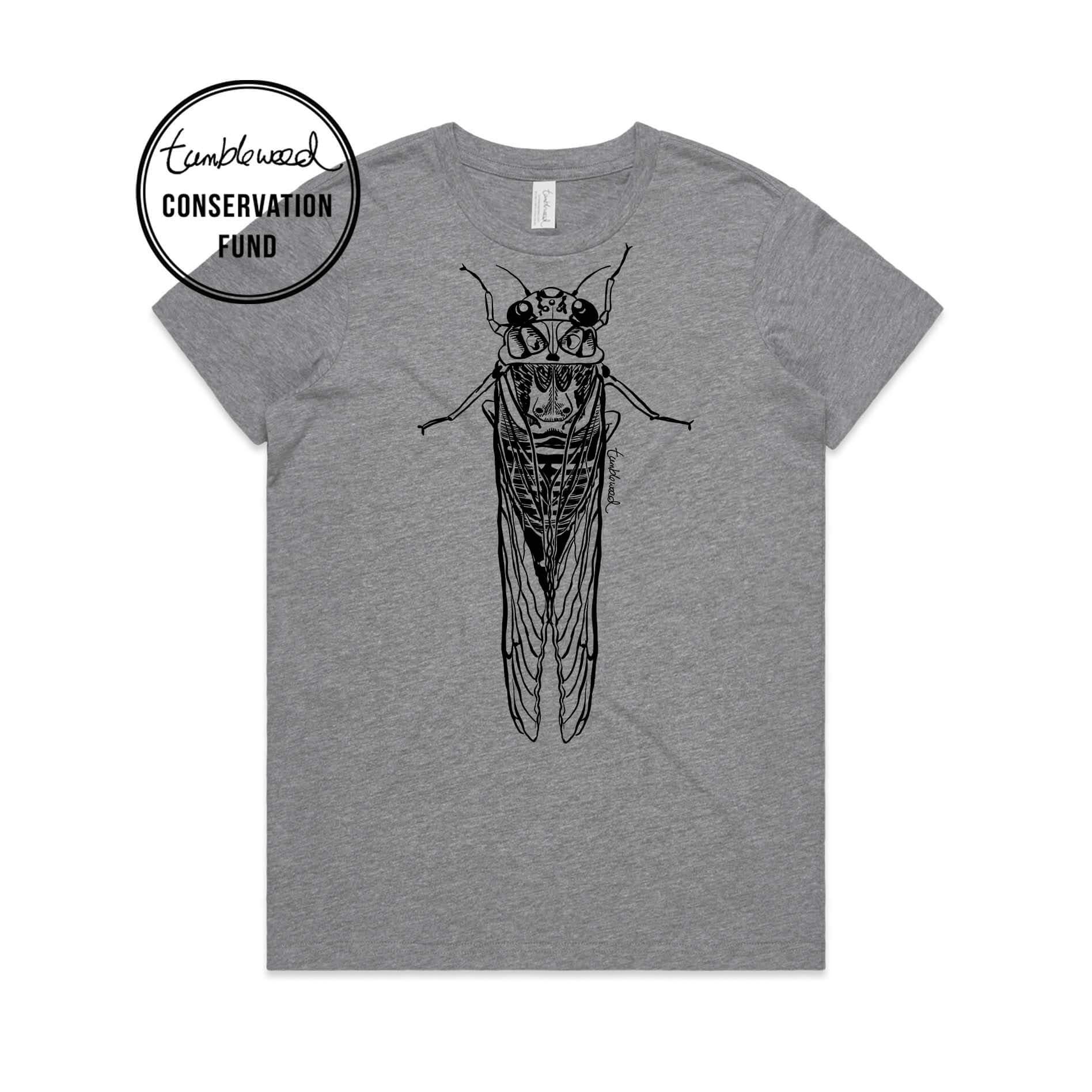 Flat Head Cicada – BigTimeFlies
