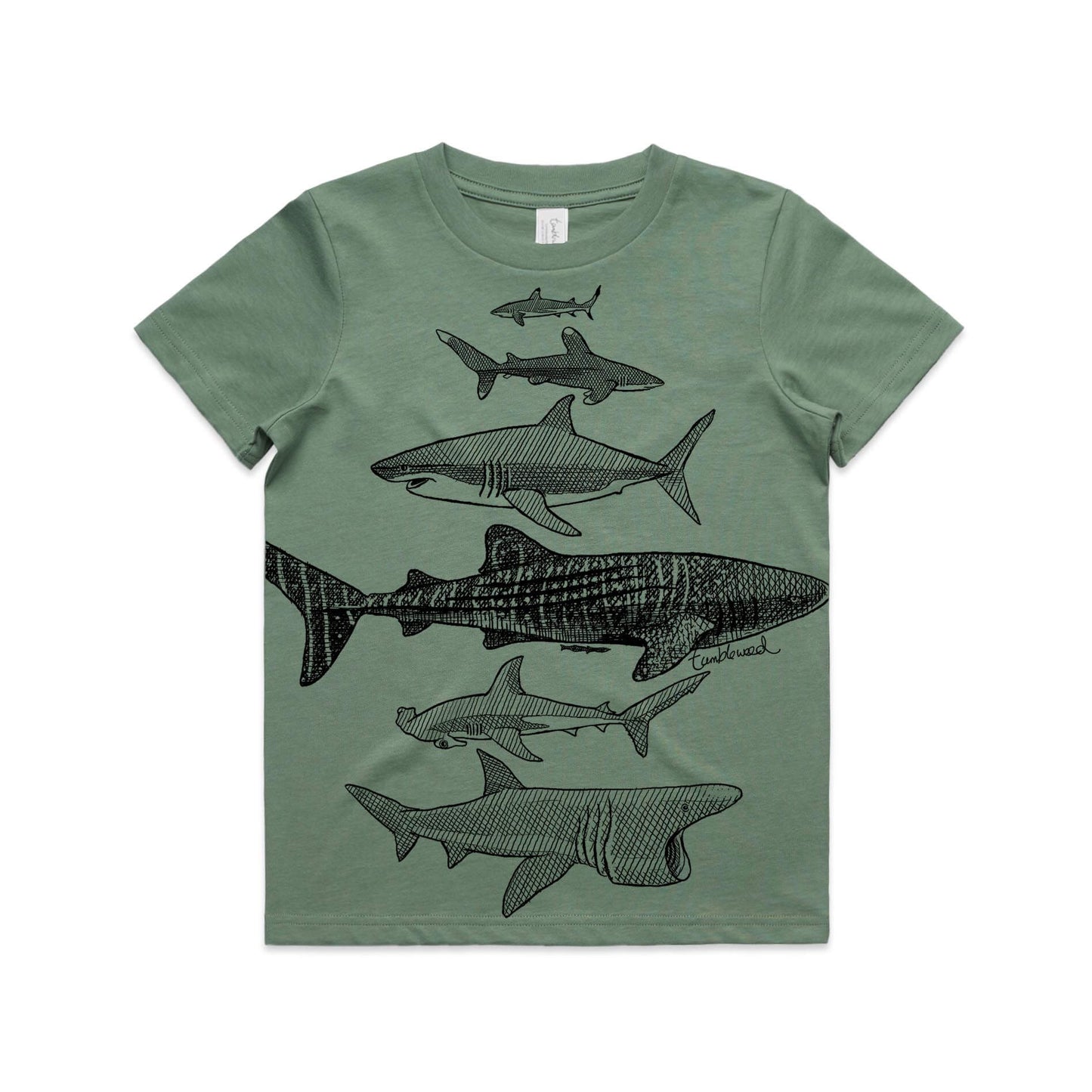 Sage, cotton kids' t-shirt with screen printed Kids shark design.