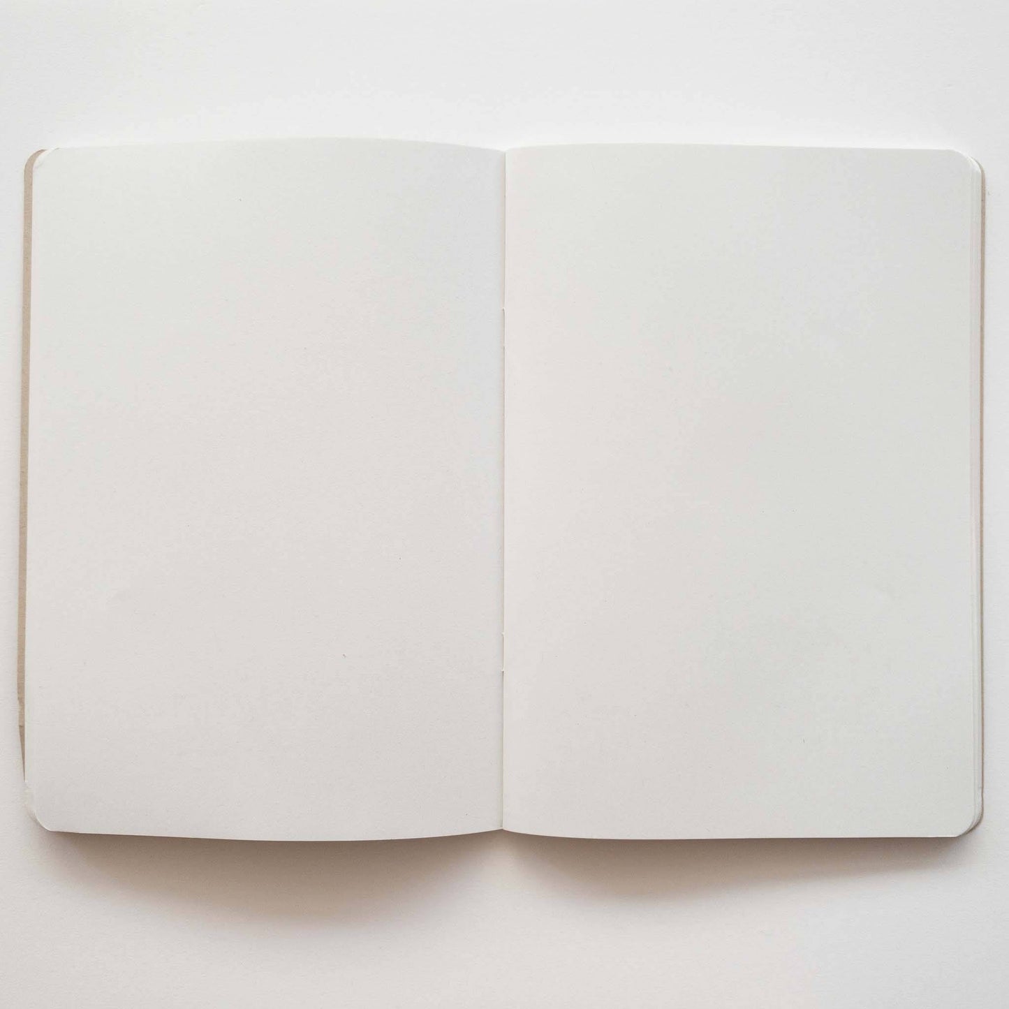 Kiwi Notebook