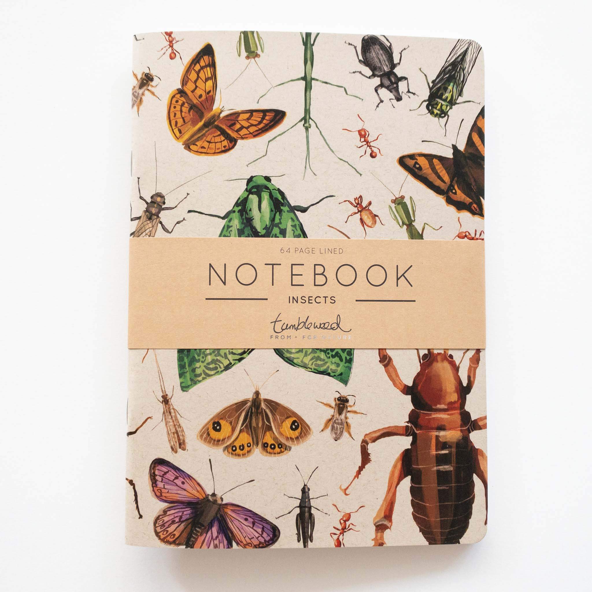Insect Notebook Painted Insect Notebook | Tumbleweed Tees