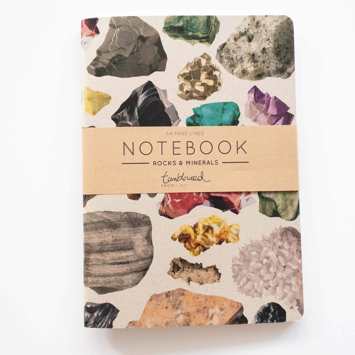 Painted Rocks & Minerals Notebook