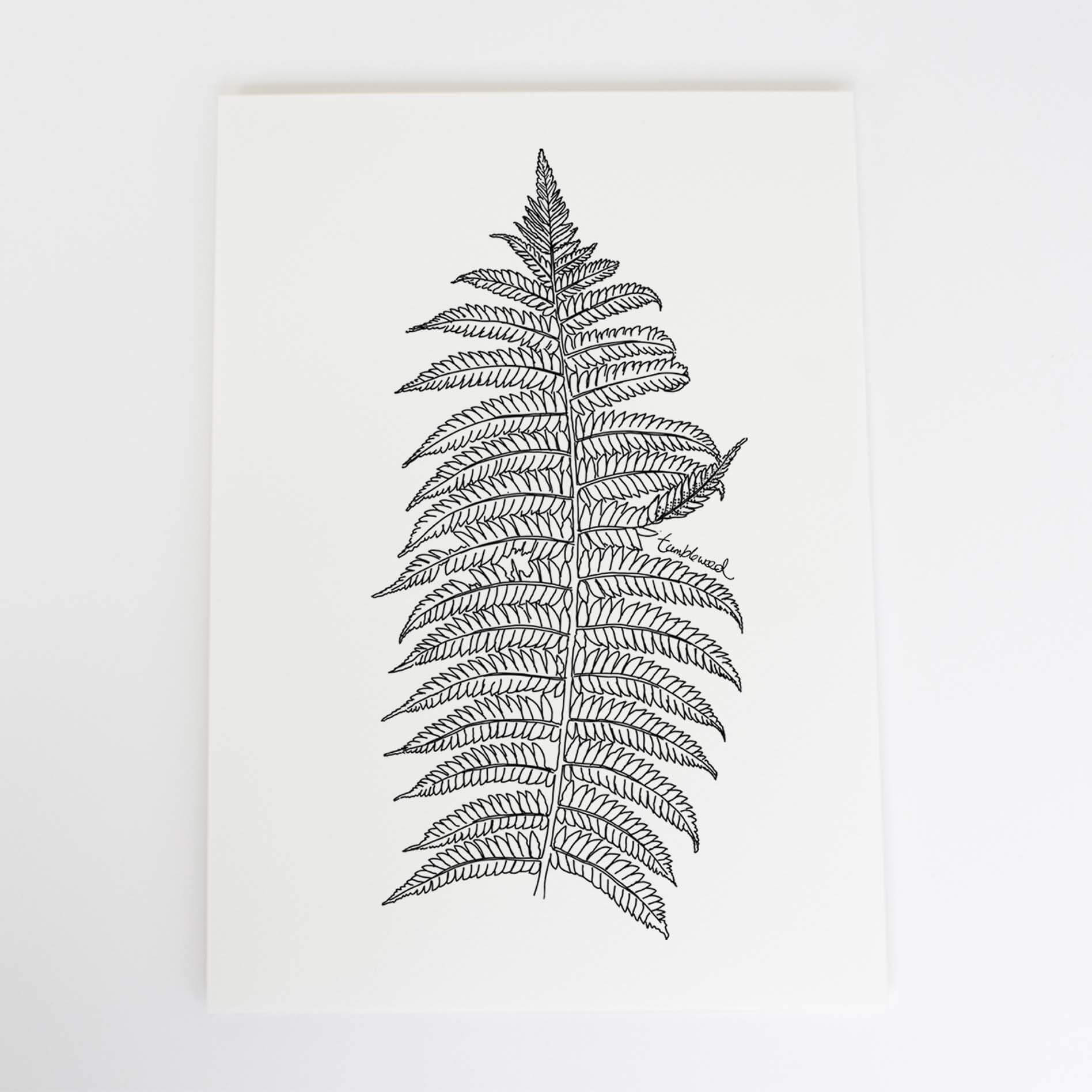 A4 art print of featuring Silver fern/ponga design on white archival paper.