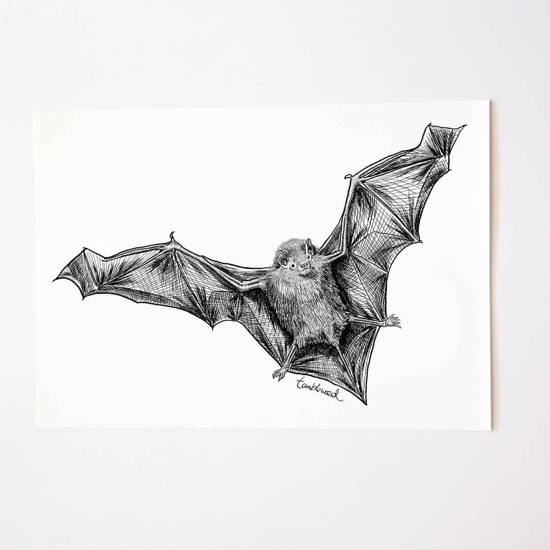 A4 art print of featuring Bat/Pekapeka design on white archival paper.