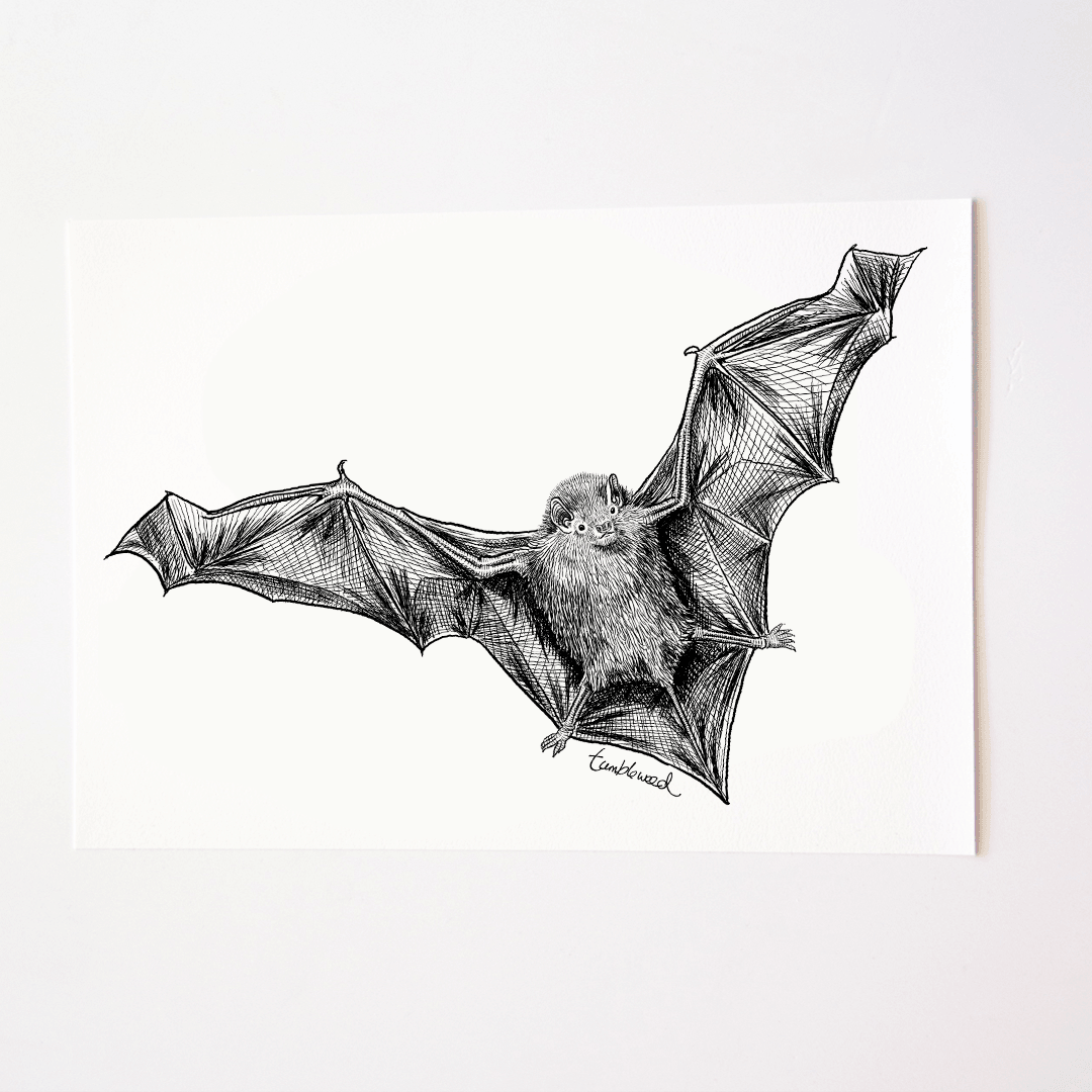 Bat/Pekapeka Art Print