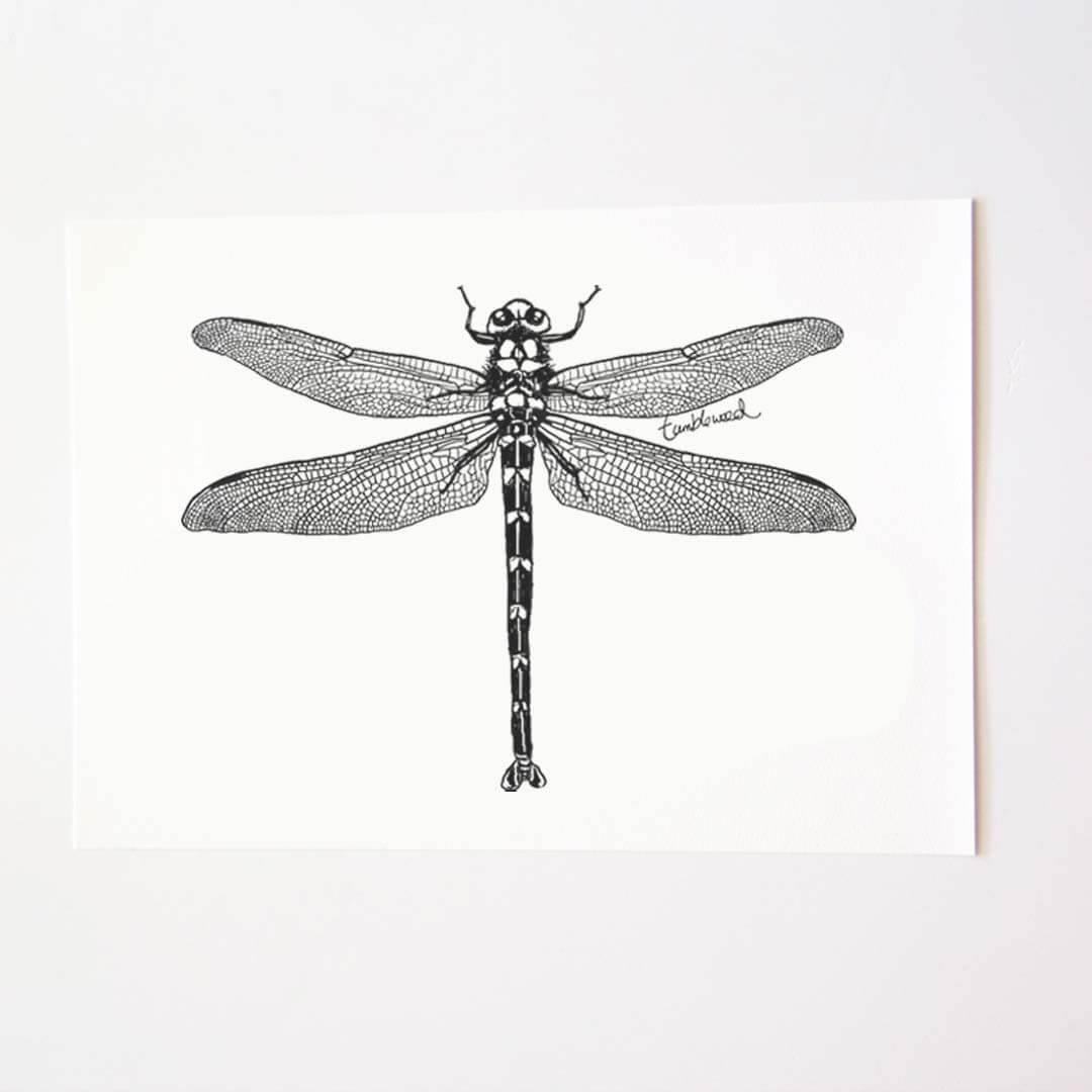 A4 art print of featuring Dragonfly design on white archival paper.