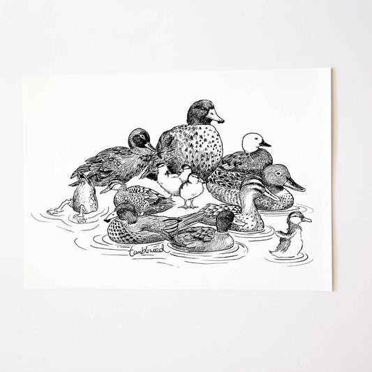 A4 art print of featuring NZ Ducks design on white archival paper.
