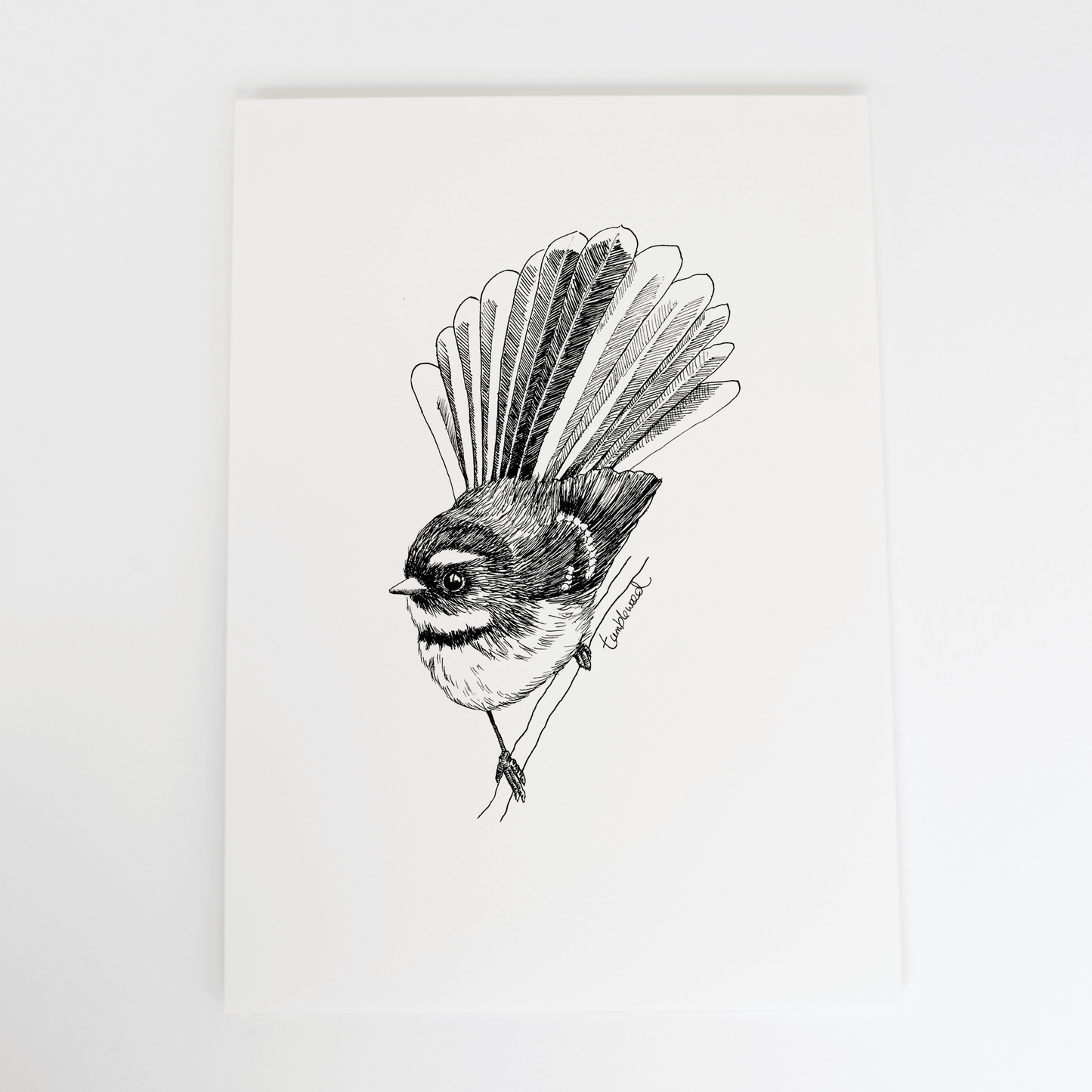 Fantail/Pīwakawaka Art Print
