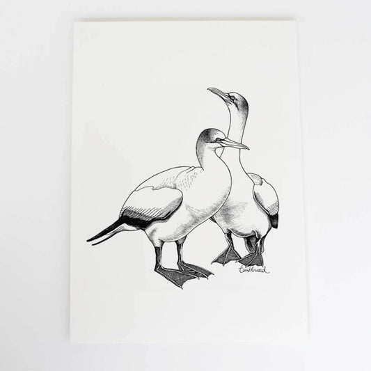 A4 art print of featuring Gannet design on white archival paper.