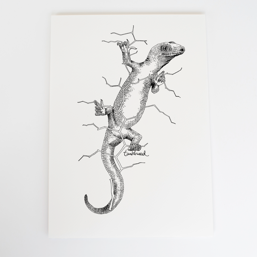 Gecko Art Print