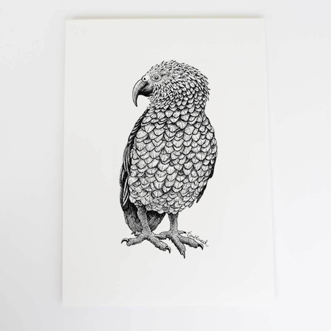 A4 art print of featuring Kea design on white archival paper.