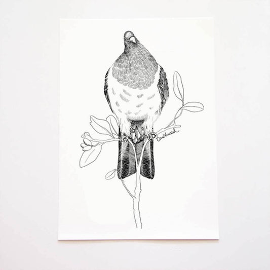 A4 art print of featuring Kererū design on white archival paper.