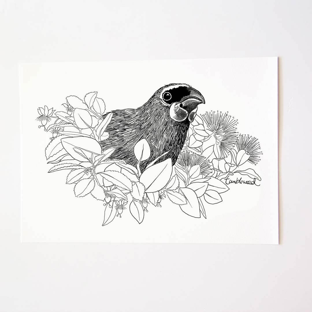 A4 art print of featuring Kōkako design on white archival paper.