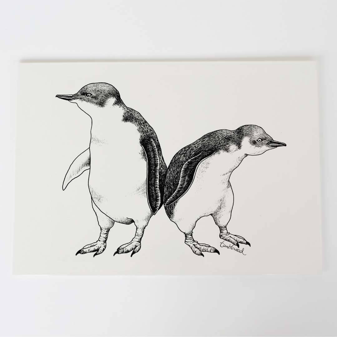 A4 art print of featuring Little Blue Penguin design on white archival paper.