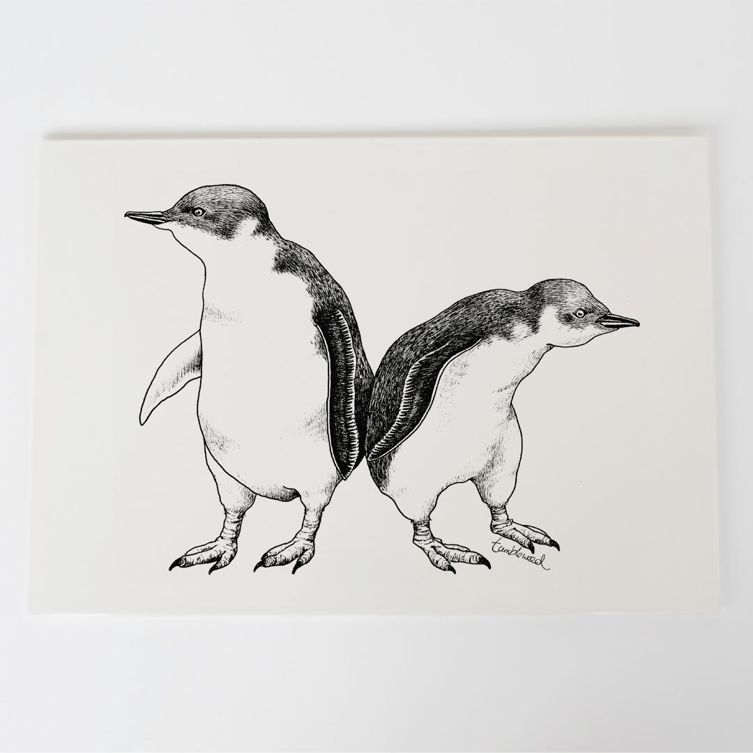 Kororā/Little Penguin Art Print