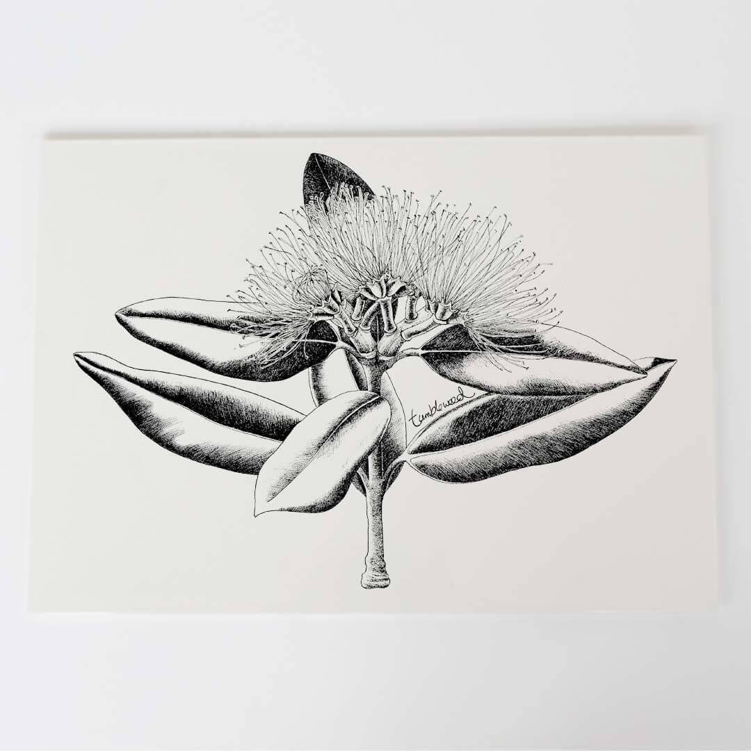 A4 art print of featuring Pōhutukawa design on white archival paper.