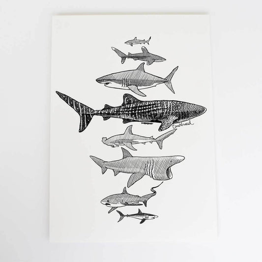 A4 art print of featuring Sharks design on white archival paper.