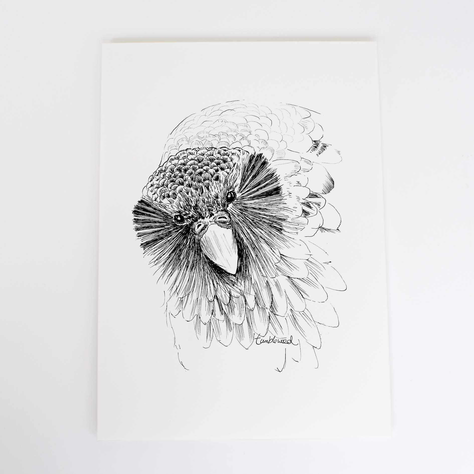 A4 art print of featuring Sirocco the Kākāpō design on white archival paper.
