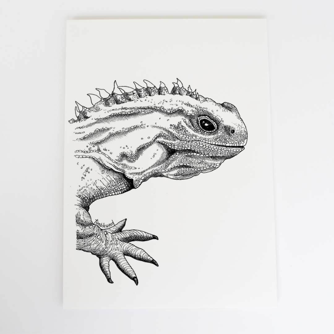 A4 art print of featuring Tuatara design on white archival paper.