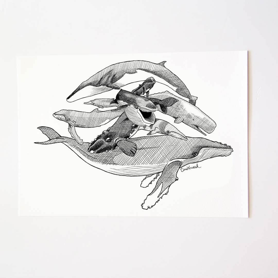 A4 art print of featuring Whales design on white archival paper.